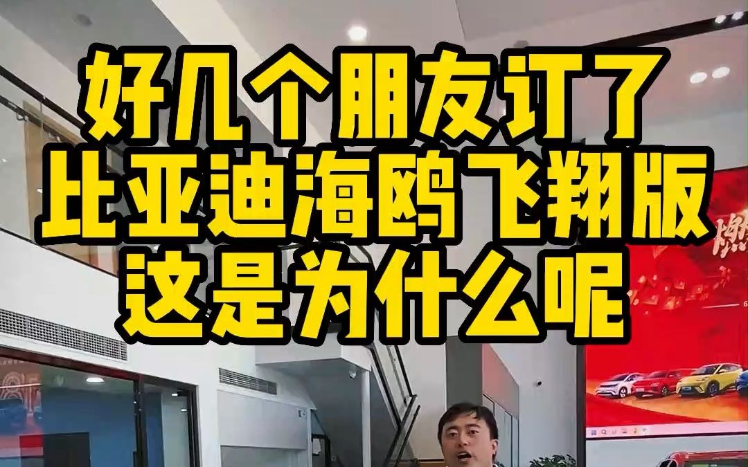 [图]比亚迪海鸥飞翔版