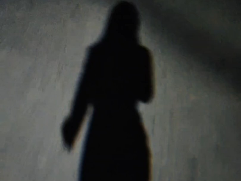 喜欢夜晚走在路灯下,影子会陪我