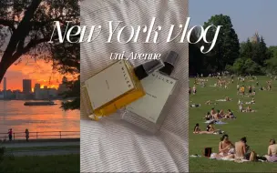 Download Video: NY vlog.Uni Avenue 