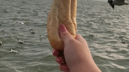 家人们 去码头整点薯条