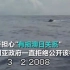 近10年过去了 这段日本血腥捕鲸视频终于曝光