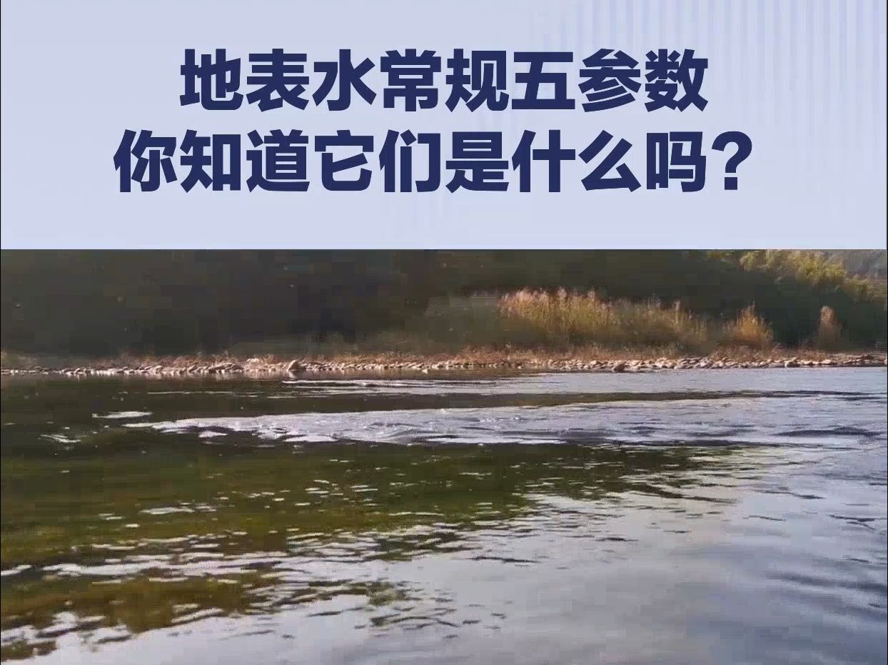 地表水常规五参数:你知道它们是什么吗?哔哩哔哩bilibili