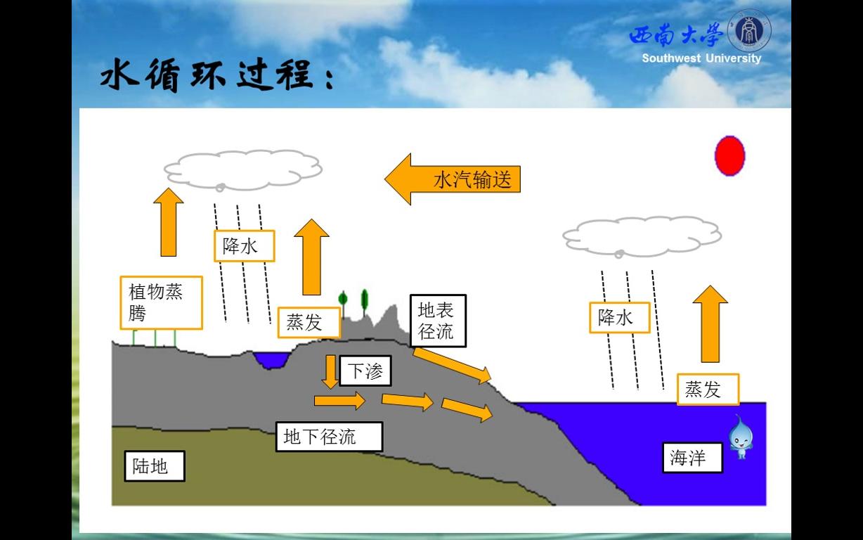 【西南大学】高中地理《水循环》地理科学16级师范2班LHY哔哩哔哩bilibili