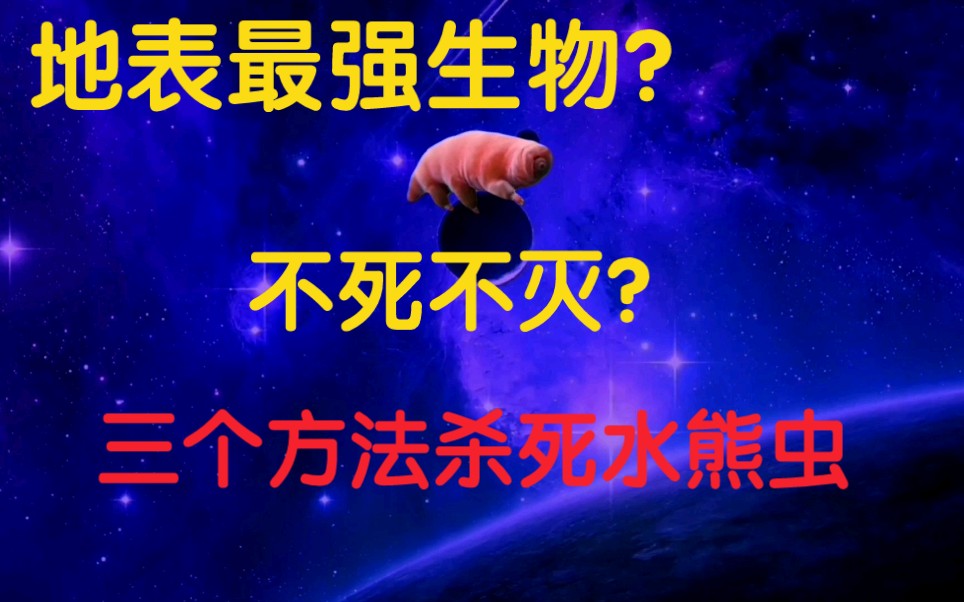 非著名专家子月,潜心研究,终于找到了三个"杀死"水熊虫的方案,最后一个能直接灭族!!哔哩哔哩bilibili