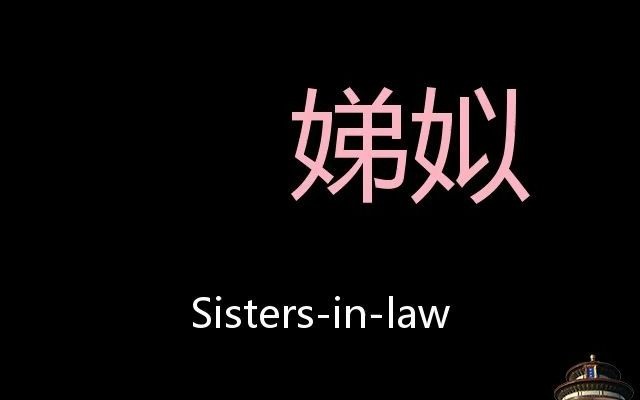 娣姒 Chinese Pronunciation sistersinlaw哔哩哔哩bilibili