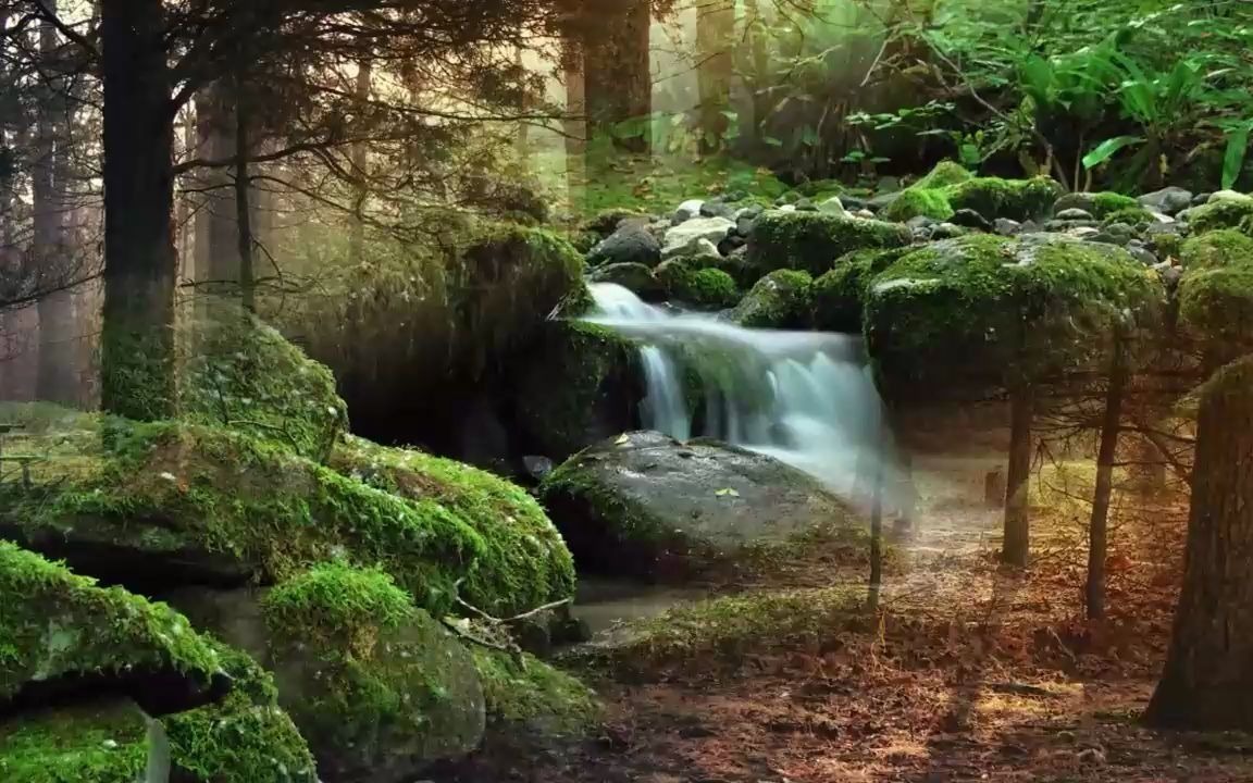 第7期 线上销冠训练营