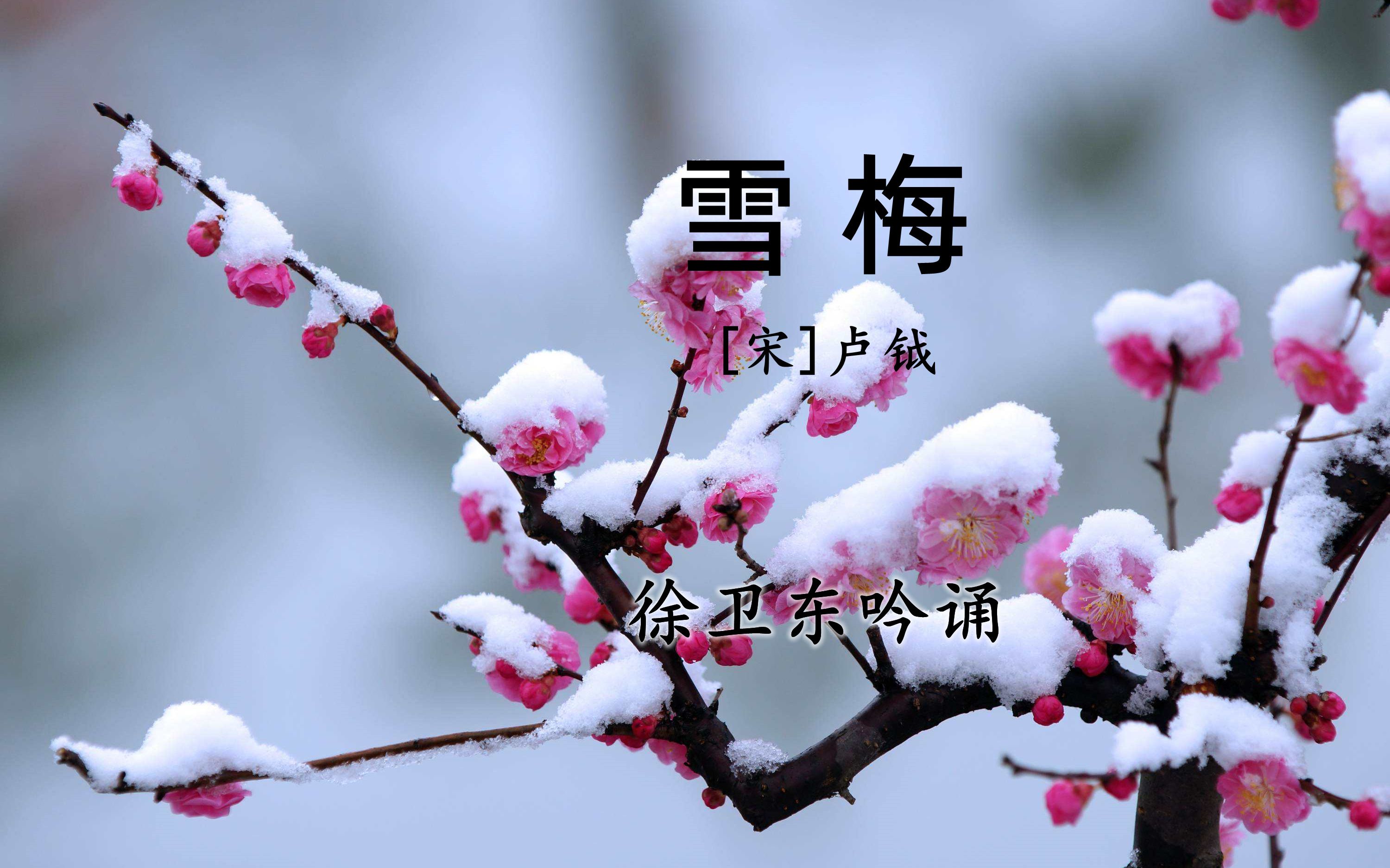 《雪梅》(卢钺),徐卫东教授吟诵,好听好看又好学哔哩哔哩bilibili