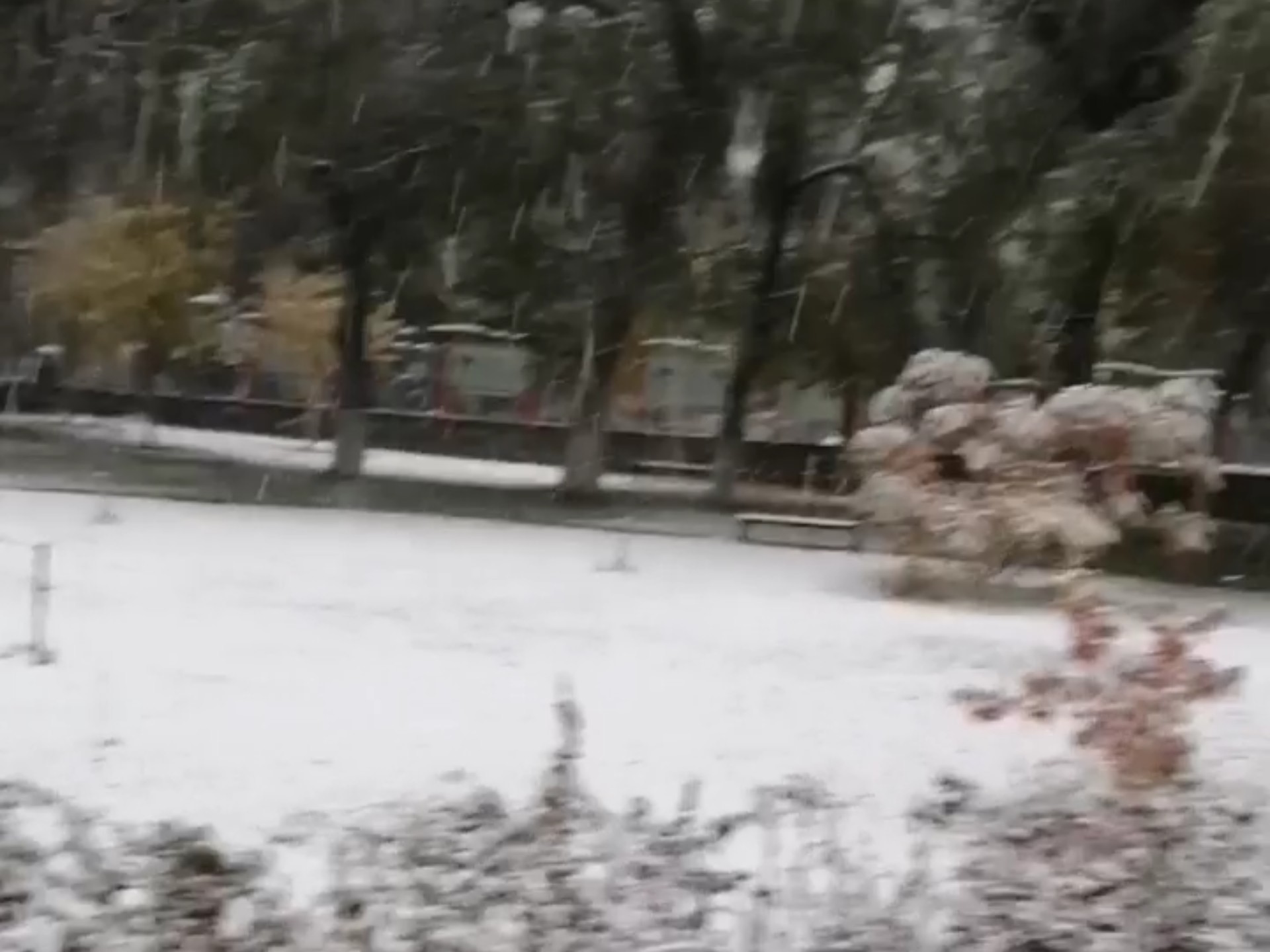 2025乌鲁木齐初雪