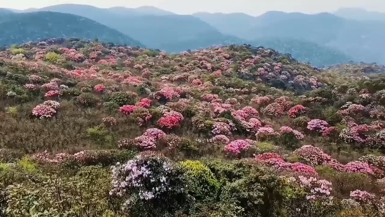 [图]《彩色的中国》 纯音乐伴奏 背景视频