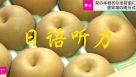 小白日语 每日影子跟读 哔哩哔哩 つロ干杯 Bilibili