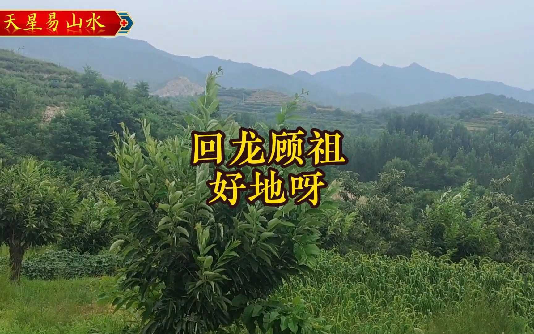 资阳回龙图片