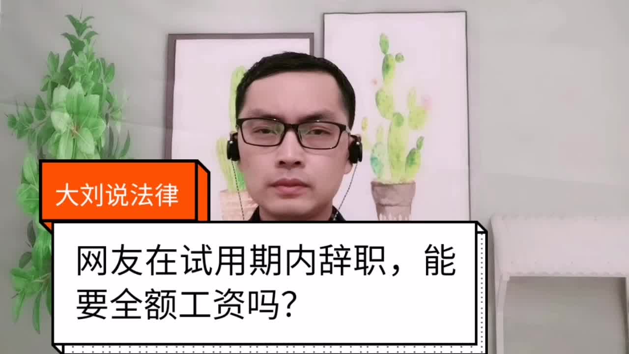 大刘说法律:网友在试用期内辞职,能要全额工资吗?哔哩哔哩bilibili