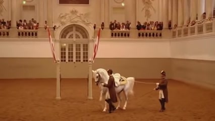 [图]建筑史——16C~18C欧洲——德国·宫殿——The Hofburg霍夫堡皇宫【冬宫——Spanish Riding School 西班牙骑术学校3