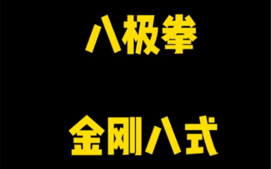 八极拳金刚八式-一一清园-默认收藏夹-哔哩哔哩视频