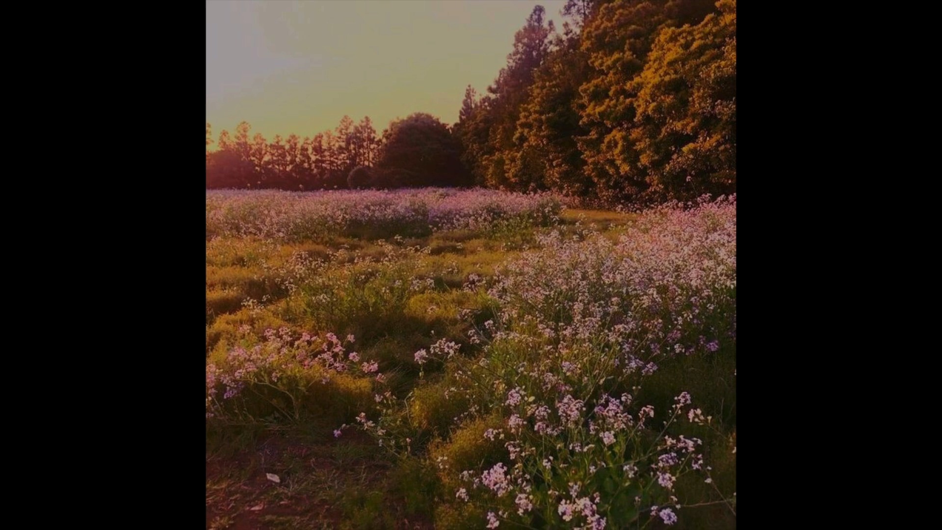 "自我怀疑  自我想把 自我抹灭"[FREE] Frank Ocean X Piano Ballad - "this is falling in love"