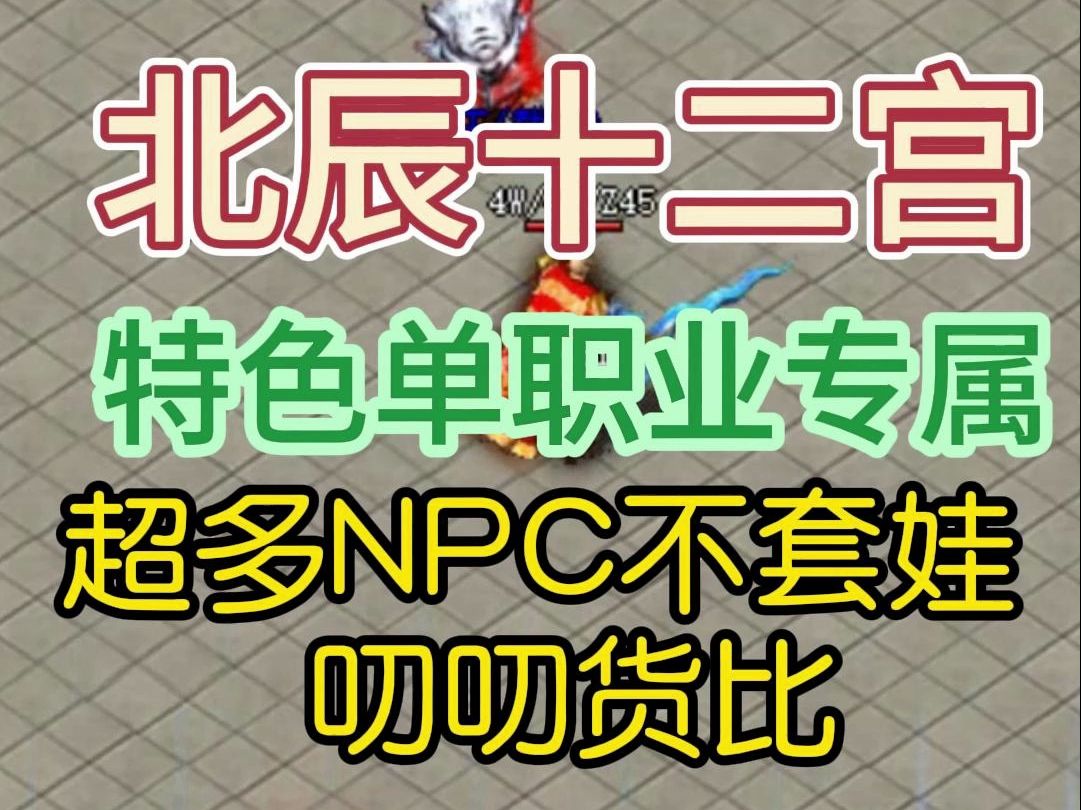 2024北辰十二宫,特色单职业专属/上百个NPC内容全不一样 /游戏体验感直接拉.#热血传奇 #热血传奇端游 #传奇找服网络游戏热门视频