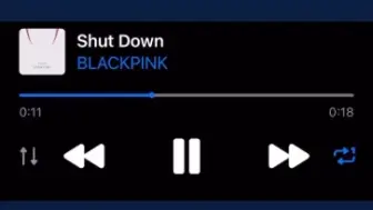 Download Video: 【BLACKPINK】shut down多了一点泄曲