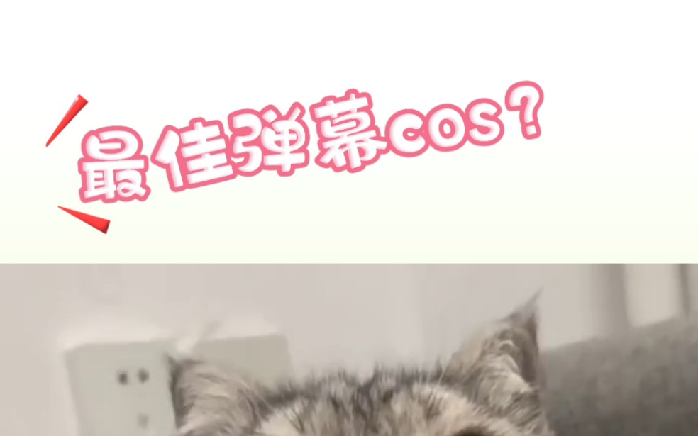 【营销号COS】今天cos营销号.哔哩哔哩bilibili