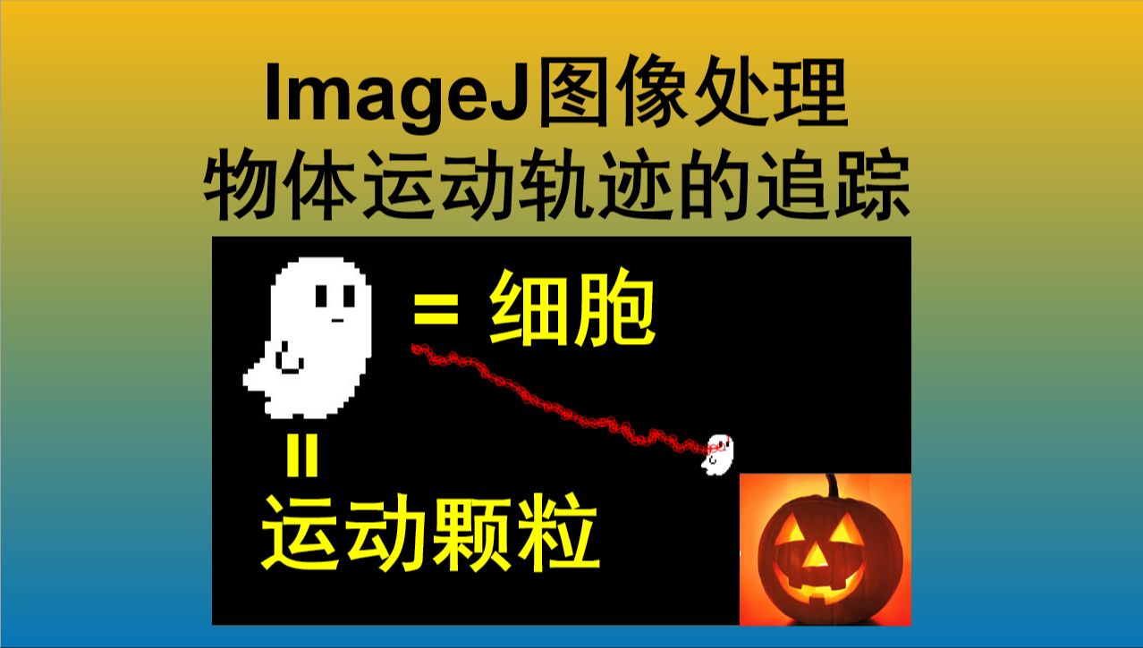 『超实用』ImageJ图像处理  运动物体追踪Tracking方法哔哩哔哩bilibili