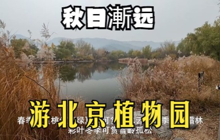 游北京植物园哔哩哔哩bilibili