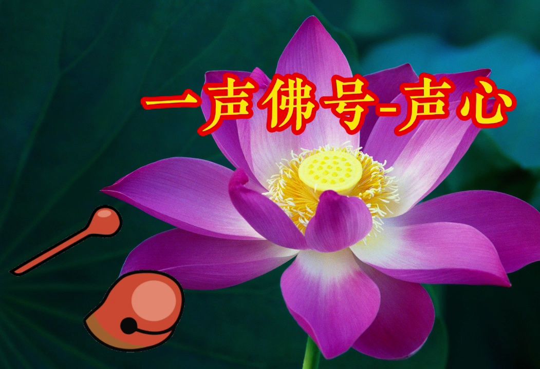 【南無阿彌陀佛】《一聲佛號-聲心》願所求皆如願,評論區留祝福.