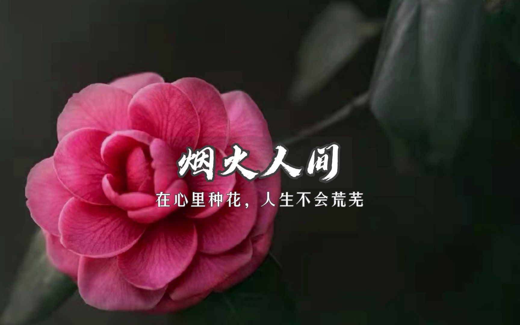 [图]在心里种花，人生才不会荒芜