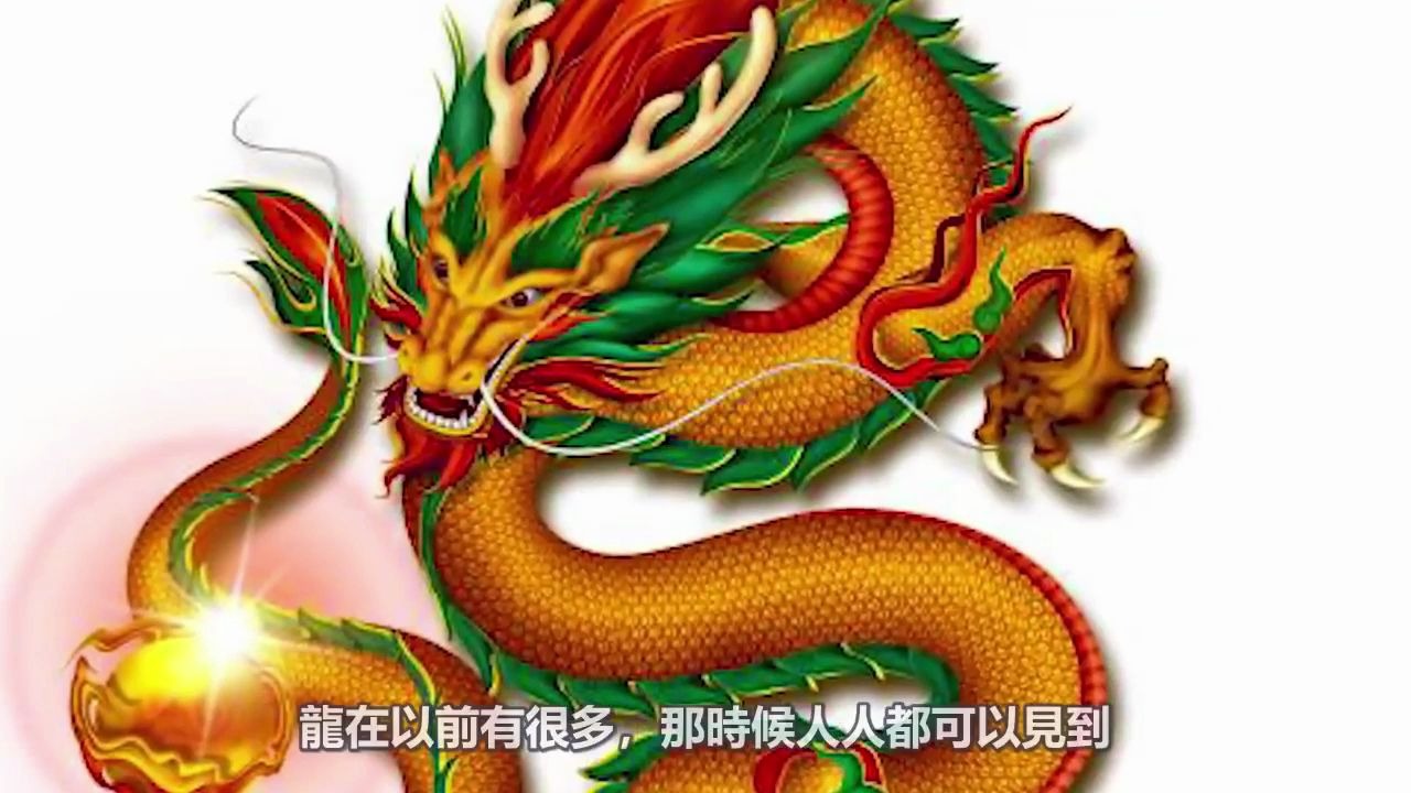 世间真的有"龙"存在吗?来听听那些高僧大德们与龙之间的故事!