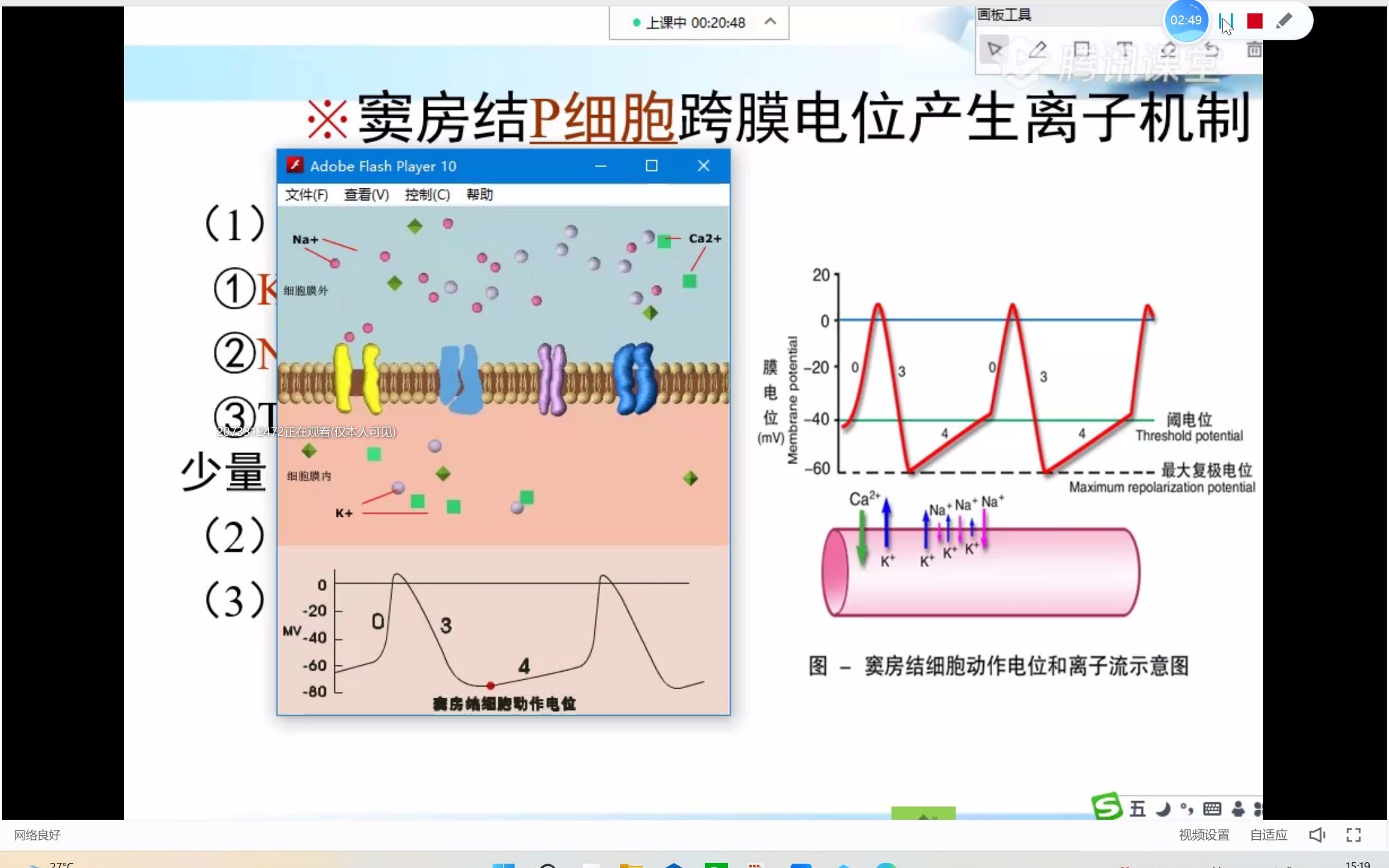 心脏电生理学及特性及血管生理哔哩哔哩bilibili