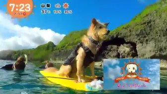 17 08 19 クイズ 金の正解 銀の正解 稲垣吾郎 哔哩哔哩 Bilibili