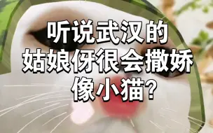 Download Video: 听说武汉的姑娘伢很会撒娇，像小猫？