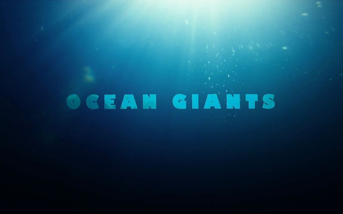 [图]《海洋巨物|Ocean Giants》纪录片 -03- 海洋歌手