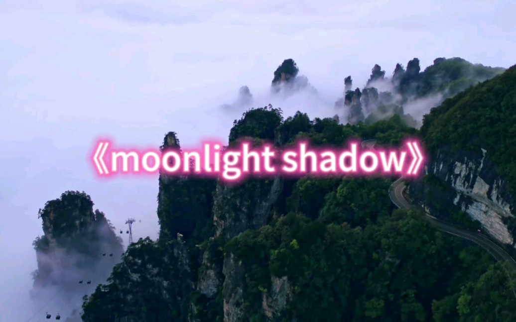 [图]经典英文歌曲moonlight shadow