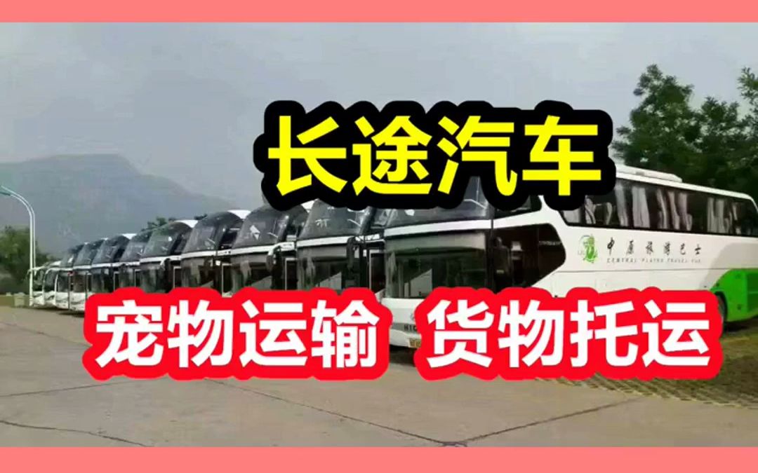 路桥到合肥的客车班车15858669968路桥到合肥客车汽车<方便快捷哔哩哔哩bilibili