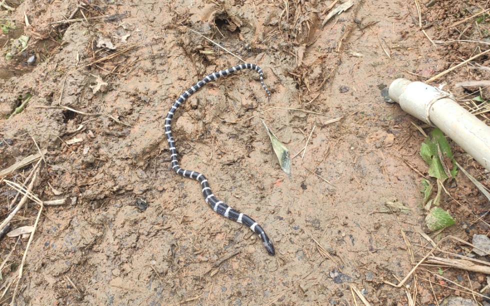 哔哩哔哩 (゜-゜)つロ 干杯~-bilibili