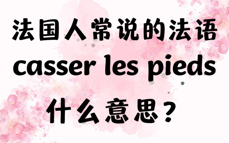 法国人常说的法语casser les pieds什么意思?【法语学习干货】哔哩哔哩bilibili