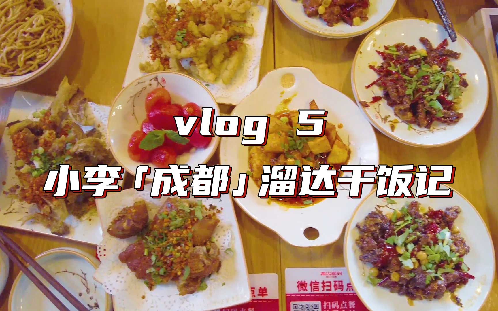 Vlog|吃吃喝喝玩玩的流水账哔哩哔哩bilibili