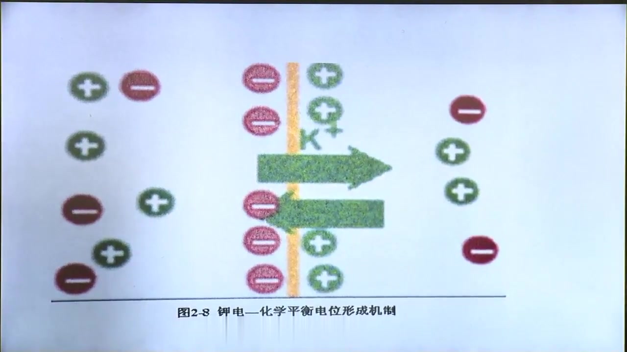 [图]2023考研西综全程班王强-生理教材精读预热-01