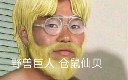 仓鼠的繁殖哔哩哔哩bilibili