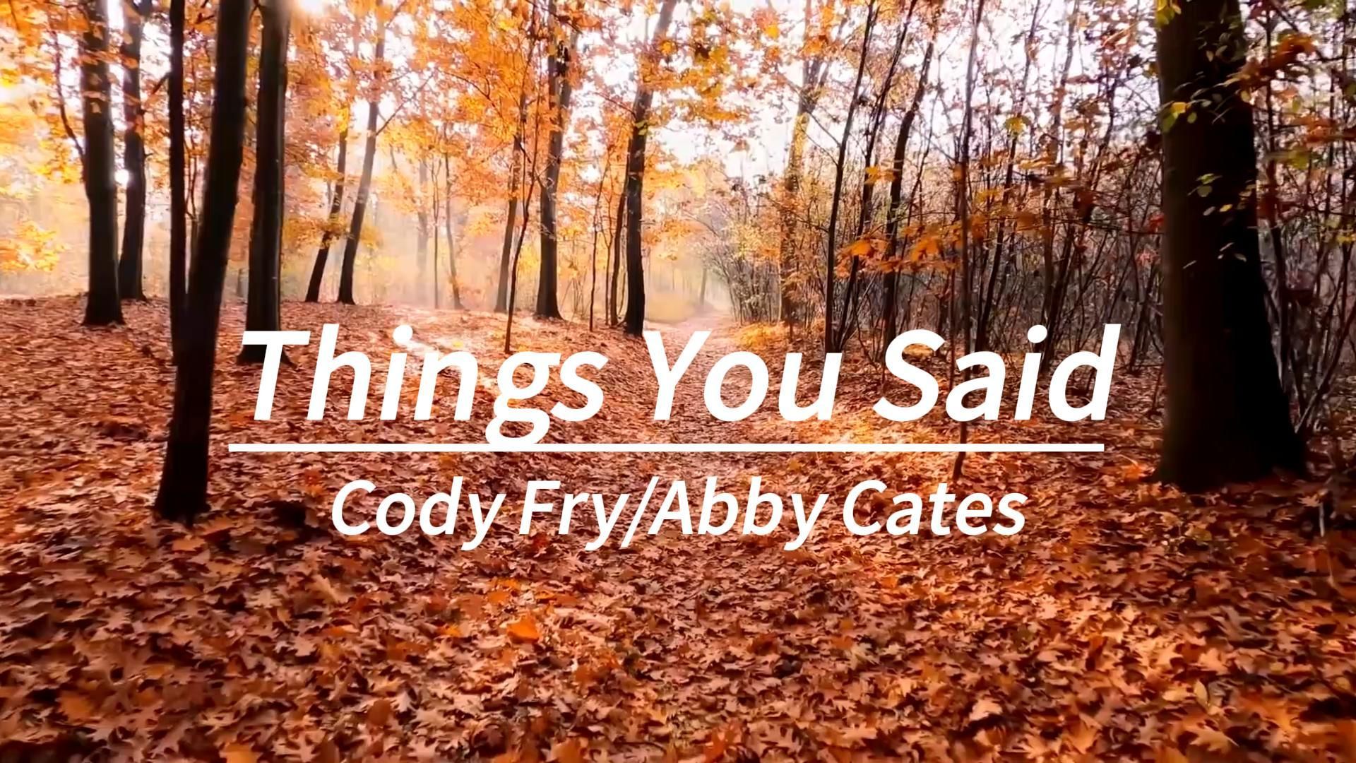 前奏响起,治愈瞬间拉满!这该死的宿命感神曲《things you said》