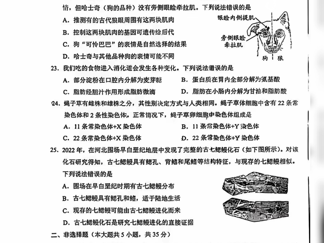 河北2024年生物中考真题哔哩哔哩bilibili