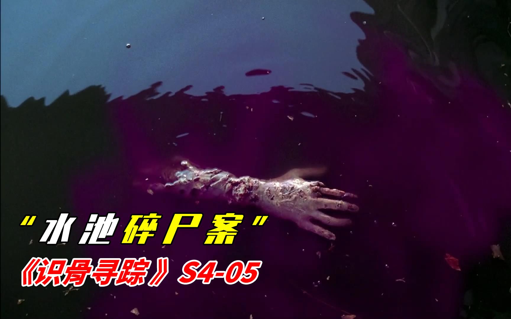 男人在废水池尿尿水池中浮出大量尸骨识骨寻踪s405