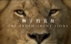 Download Video: 【纪录片】狮子的真相-The Truth About Lions  2