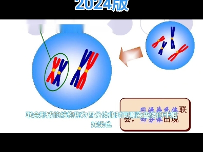 生物化学(二)4156常用名词术语一百种解析2024版哔哩哔哩bilibili