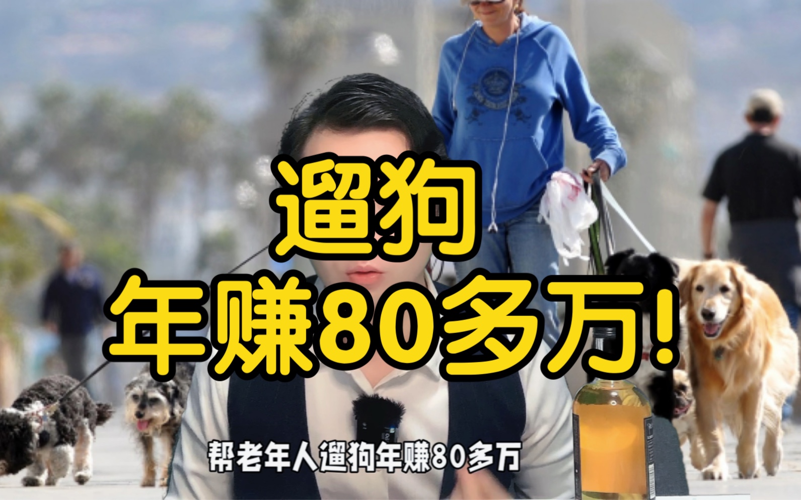 帮老年人遛狗年赚80多万!一个兼职、创业赚钱项目,拆解教你!哔哩哔哩bilibili