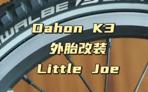 Download Video: Dahon K3 硬派改装Little Joe巧克力胎