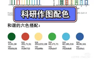 Скачать видео: 【SCI科研作图配色】