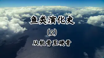 Descargar video: 鱼类演化史(2)