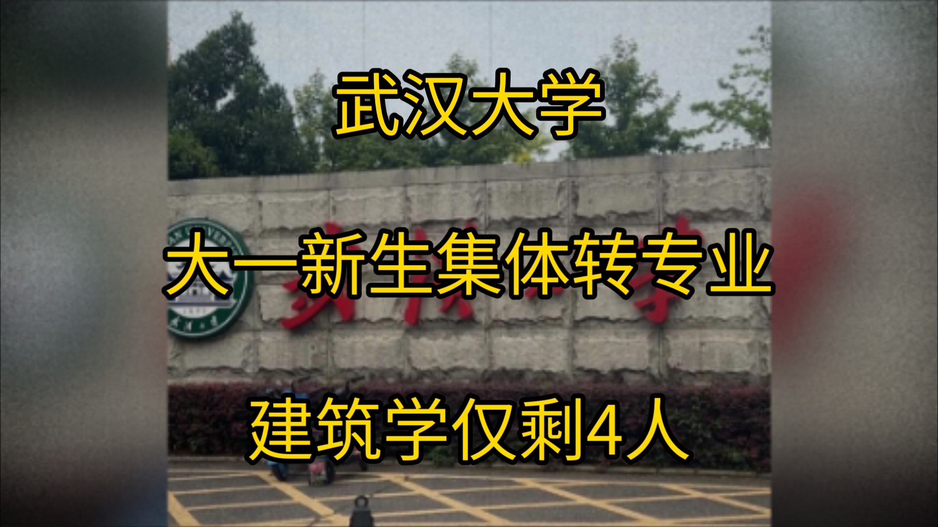 疯狂转专业!武汉大学建筑专业大一仅剩4人!老师比学生还多,网友: 学土木的又稳啦哔哩哔哩bilibili