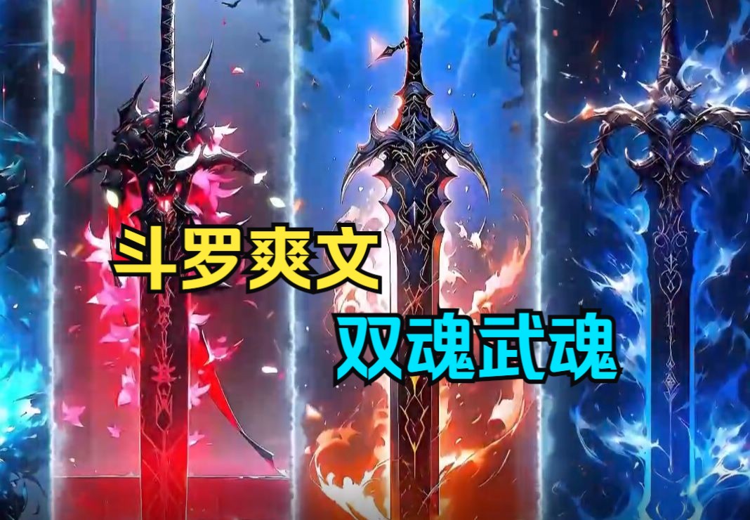 [图]斗罗爽文【双魂武魂】斗罗觉醒出两把造型别致的宝剑，其中一把剑身呈现出红黑相间之色，另一把则闪烁着白金光芒