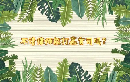 不请律师我能打赢官司吗?哔哩哔哩bilibili